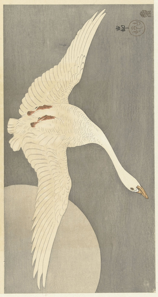 Ohara Koson - Vadlúd teliholdkor