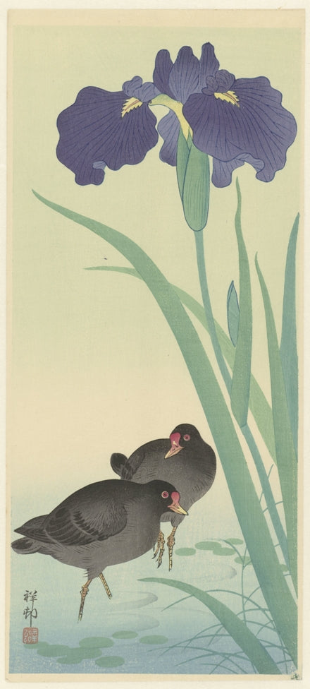 Ohara Koson - Madarak az írisz alatt
