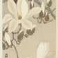 Ohara Koson - Magnólia madárral