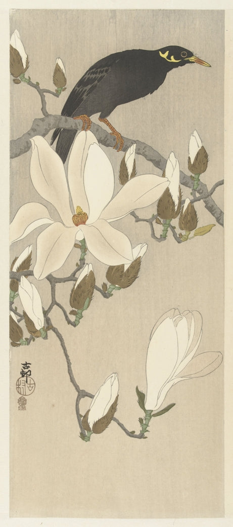 Ohara Koson - Magnólia madárral
