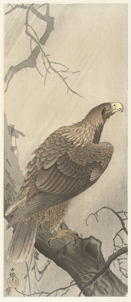 Ohara Koson - Sasmadár az ágon