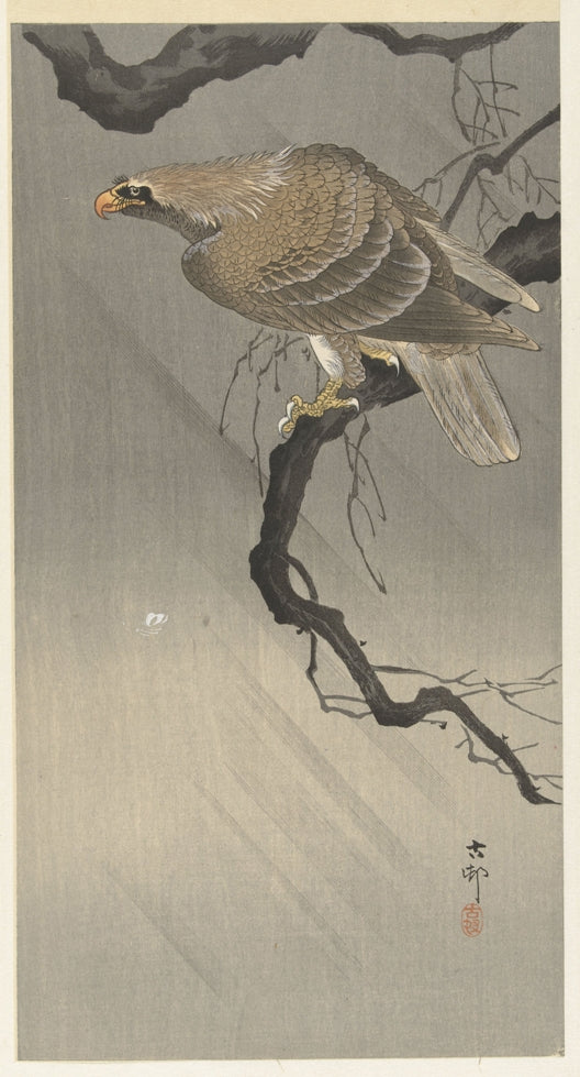 Ohara Koson - Sasmadár