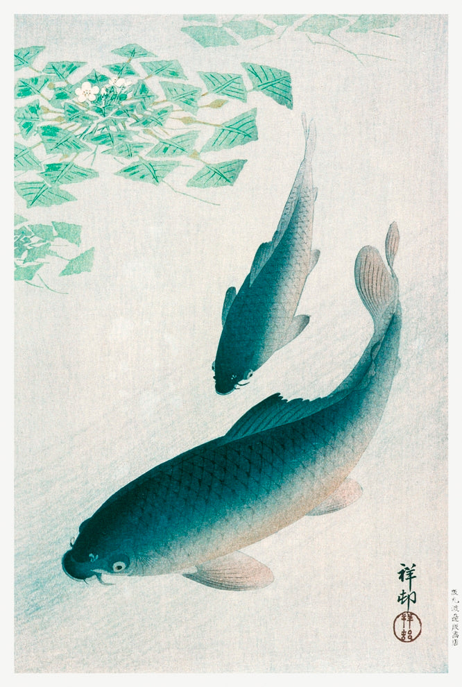 Ohara Koson - Úszkáló pontyok