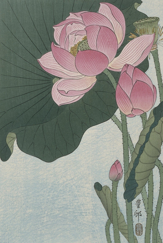 Ohara Koson - Tavirózsa