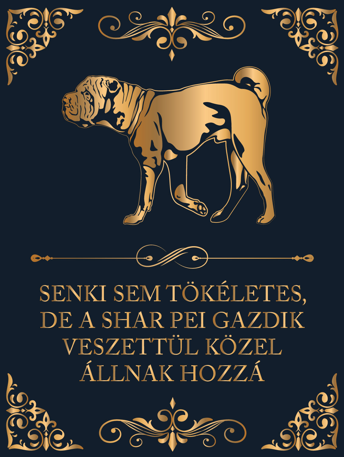 Tökéletes Shar pei gazdik