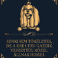 Tökéletes Shih Tzu gazdik