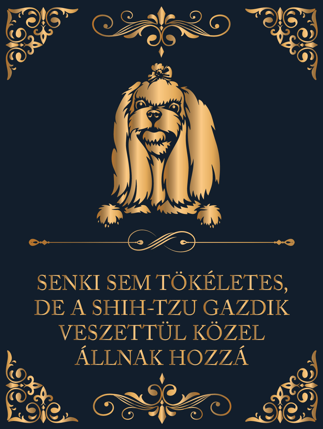 Tökéletes Shih Tzu gazdik