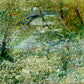 Vincent van Gogh - Folyópart tavasszal