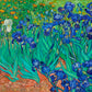 Vincent van Gogh - Íriszek