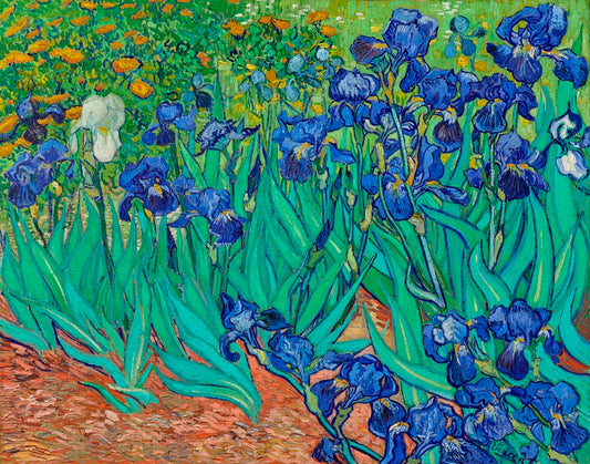 Vincent van Gogh - Íriszek