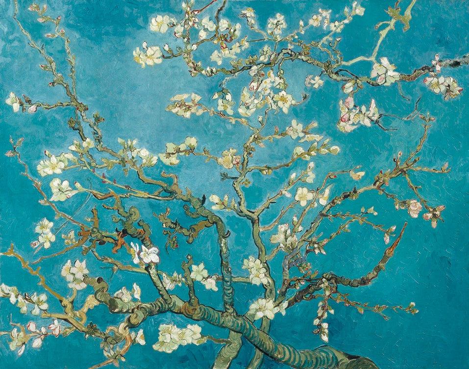 Vincent van Gogh - Mandulavirágzás