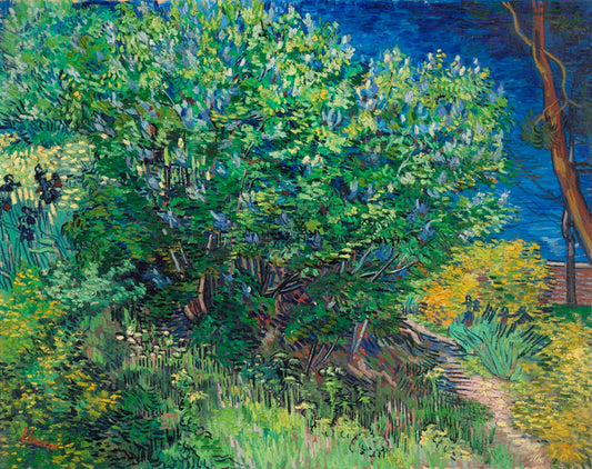 Vincent van Gogh - Orgonabokor