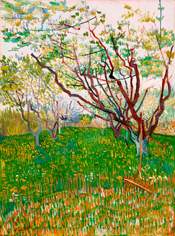 Vincent van Gogh - Virágzó gyümölcsöskert