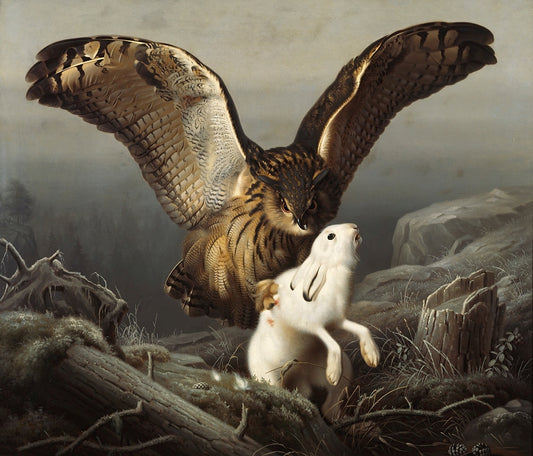 Von Wright - Sasbagoly megragad egy nyulat